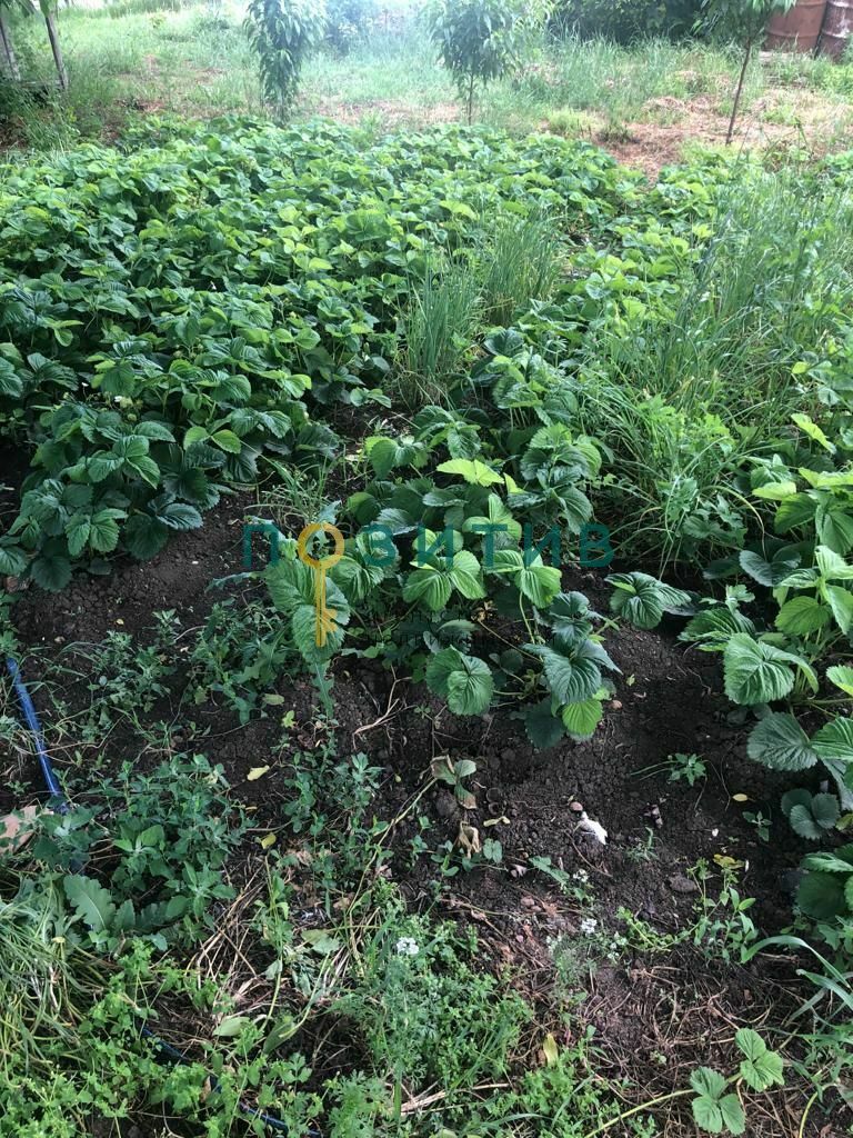 Продажа дома, 100м <sup>2</sup>, 15 сот., Змейка, ставропольский край,  минераловодский муниципальный округ