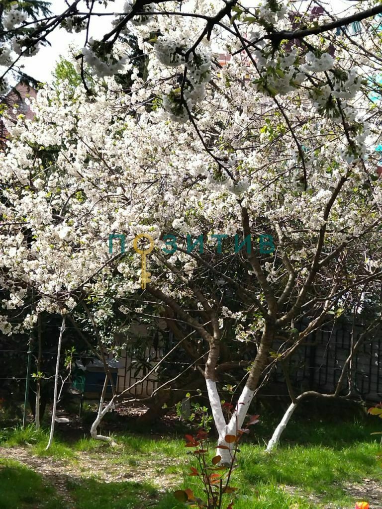 Продажа коммерческой недвижимости, 437м <sup>2</sup>, Ставропольский, краснодарский край,  городской округ сочи