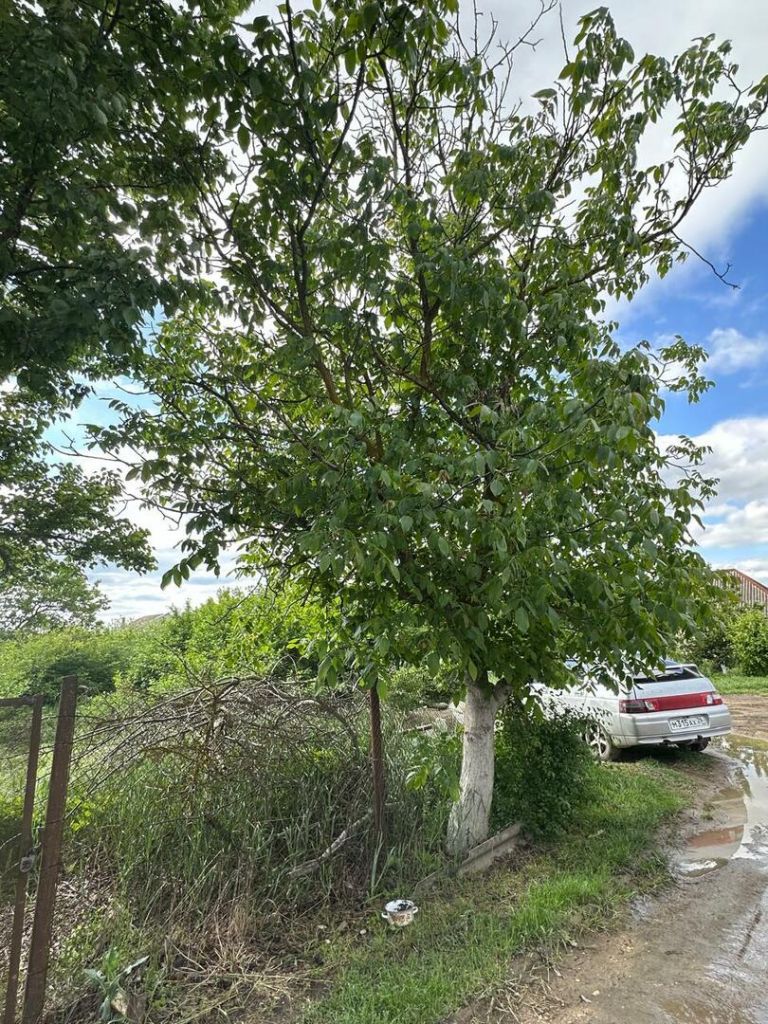 Продажа участка, Ставропольский, Адмиральского ул