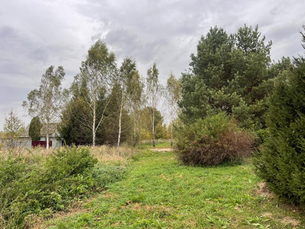 Продажа участка, Нила