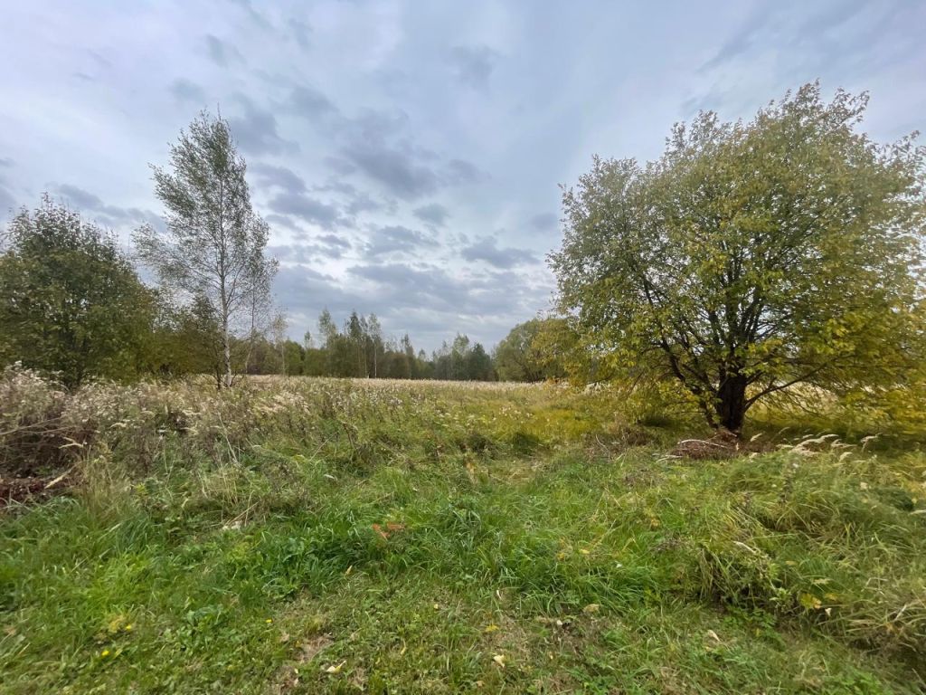 Продажа участка, Нила