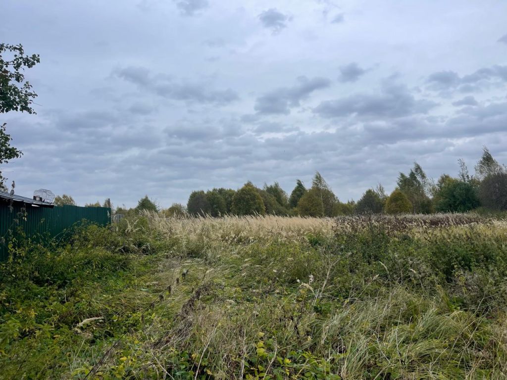 Продажа участка, Нила