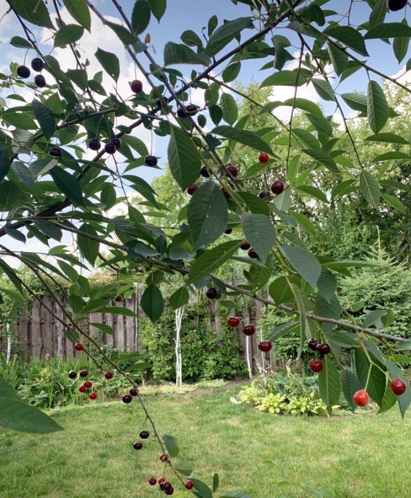 Продажа дома, 123м <sup>2</sup>, 4 сот., Нижний Новгород, Деловая ул,  547