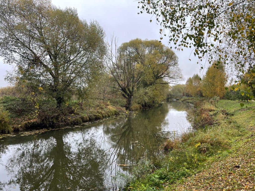 Продажа участка, Грачковская Слобода, Заречная,  48