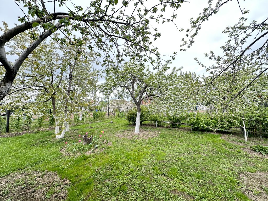 Продажа дома, 252м <sup>2</sup>, 16 сот., Безводное, Лесная