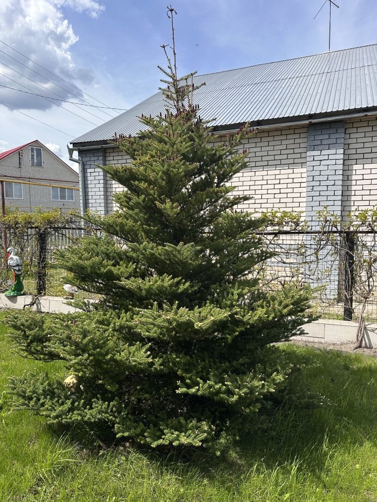 Продажа дома, 252м <sup>2</sup>, 16 сот., Безводное, Лесная