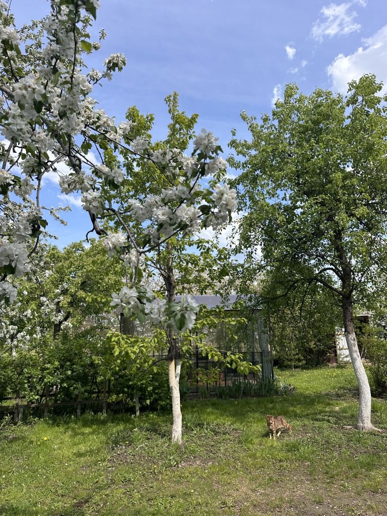 Продажа дома, 252м <sup>2</sup>, 16 сот., Безводное, Лесная