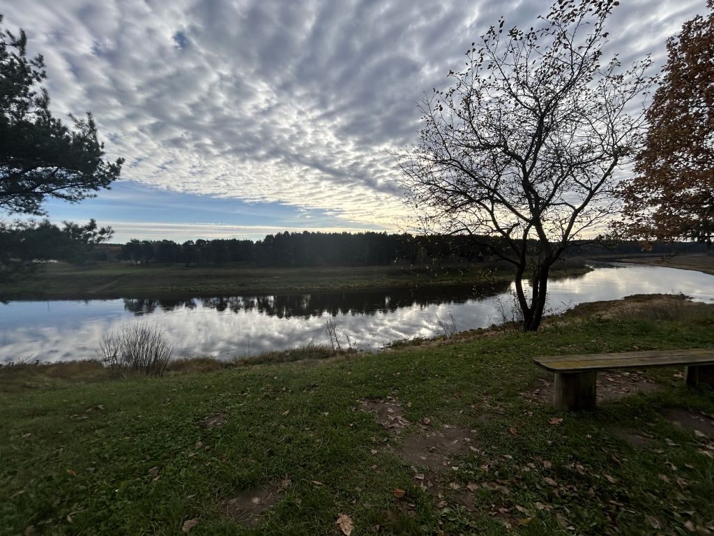 Продажа дома, 54м <sup>2</sup>, 11 сот., Родня