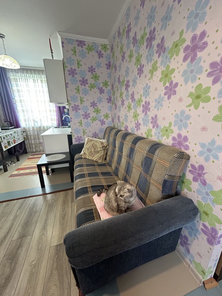 Продажа дома, 54м <sup>2</sup>, 11 сот., Родня