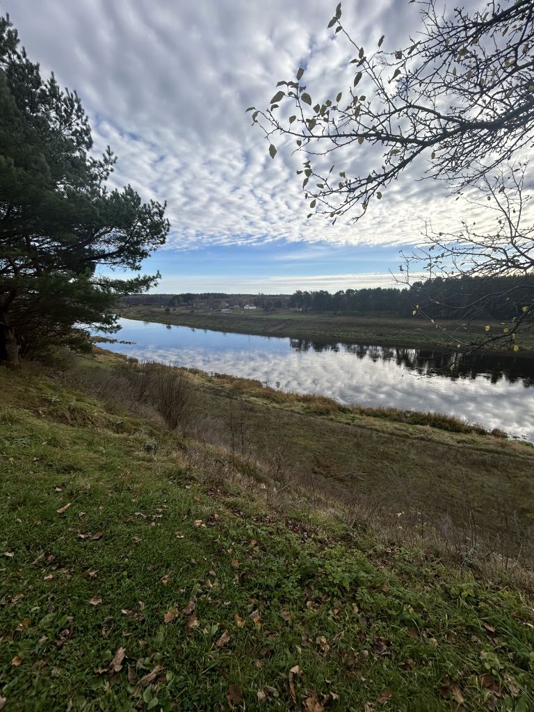 Продажа дома, 54м <sup>2</sup>, 11 сот., Родня