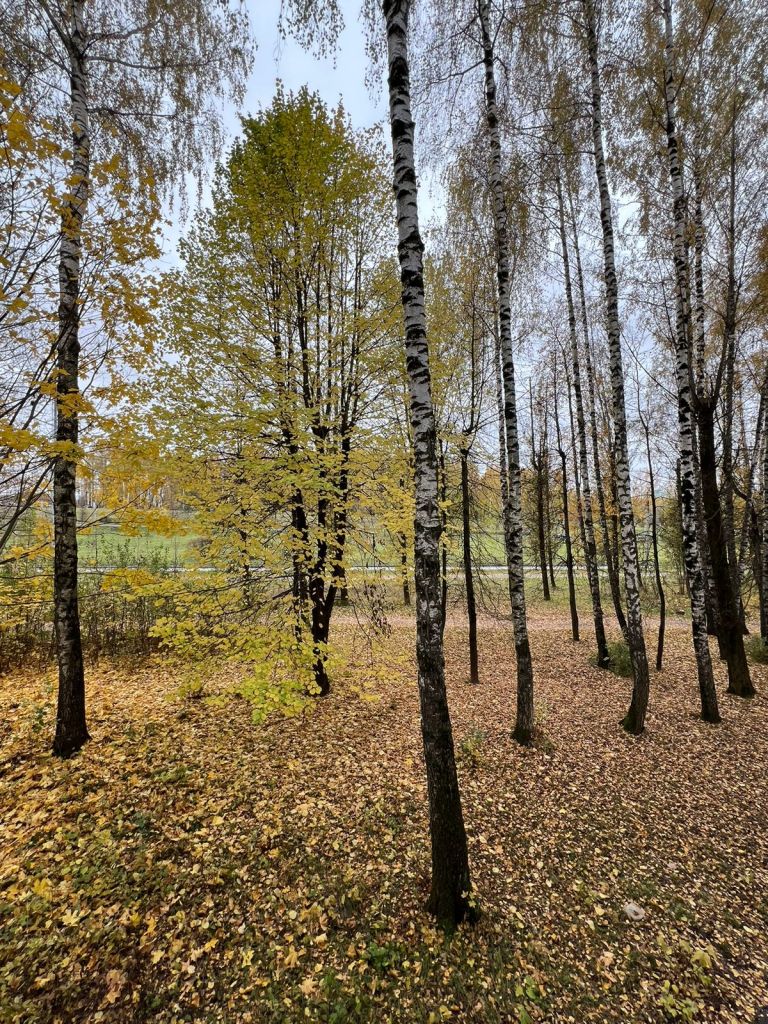 Продажа 1-комнатной квартиры, Смоленск, Строителей пр-кт,  20