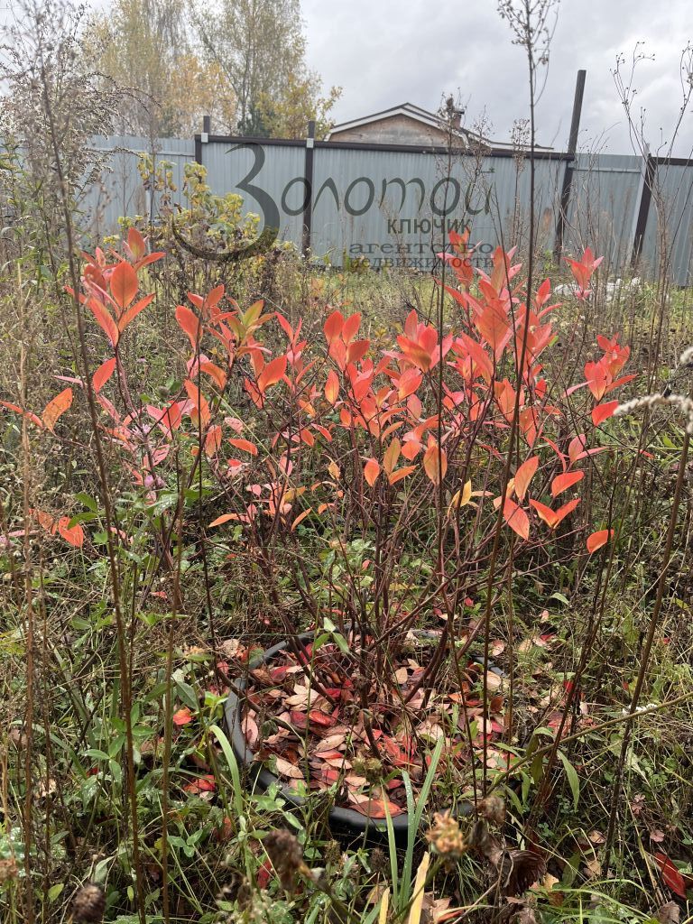 Продажа дома, 15м <sup>2</sup>, 6 сот., Нижний Новгород, СНТ Золотая осень,  553