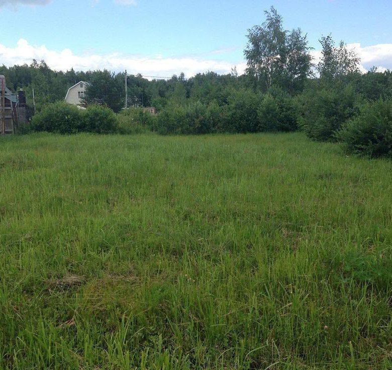 Продажа участка, Кочнево,  14