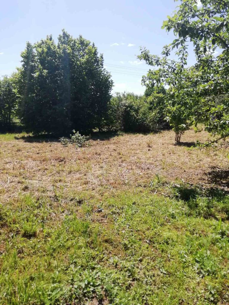 Продажа участка, Клобушнево, СТ Надежда