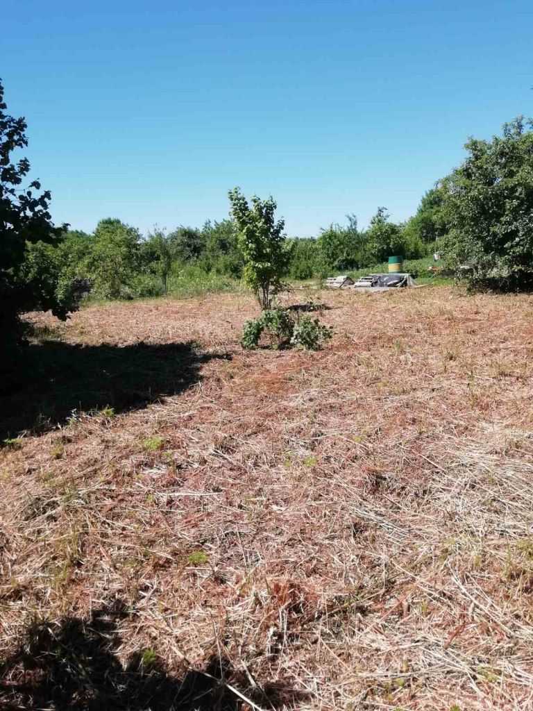 Продажа участка, Клобушнево, СТ Надежда