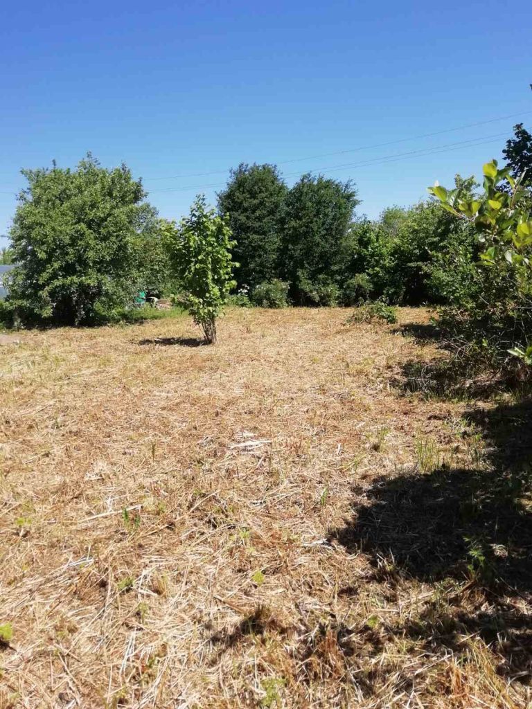 Продажа участка, Клобушнево, СТ Надежда