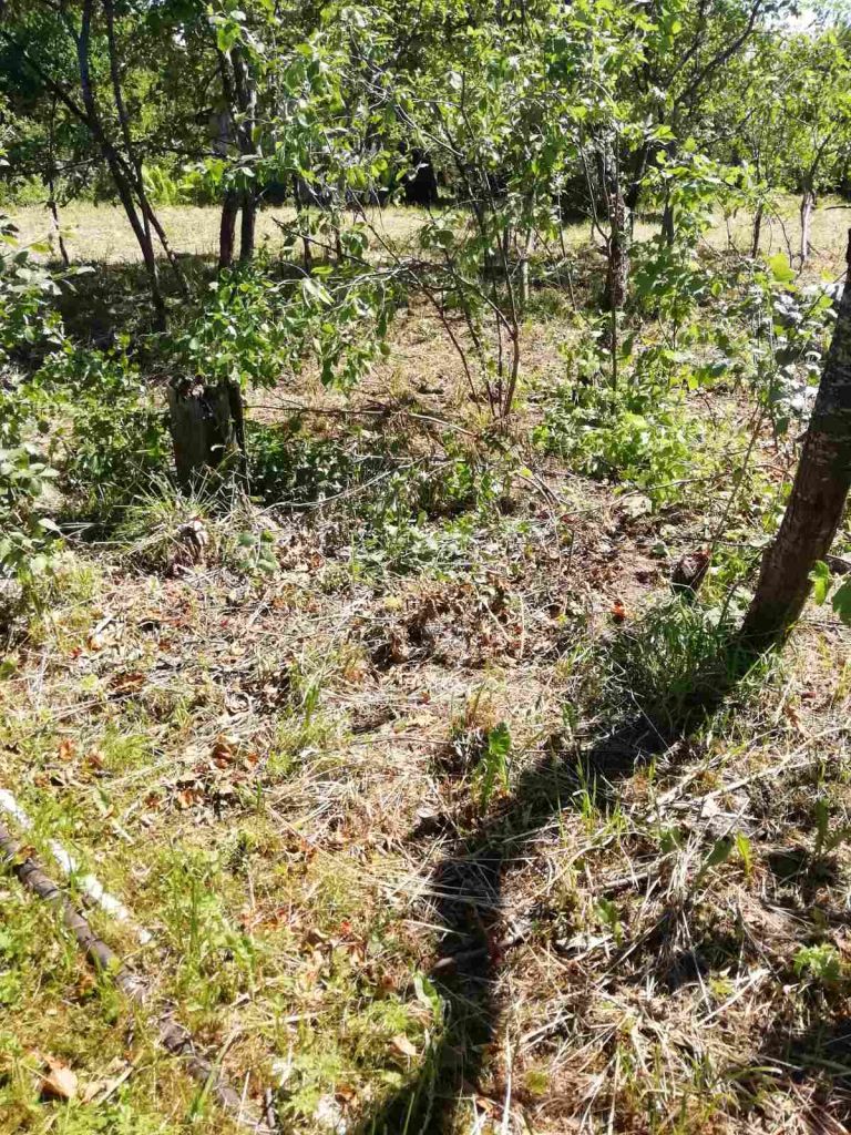 Продажа участка, Клобушнево, СТ Надежда