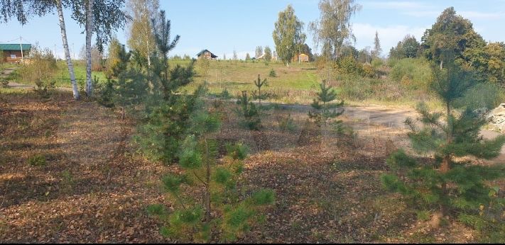 Продажа дома, 100м <sup>2</sup>, 23 сот., Кокаево