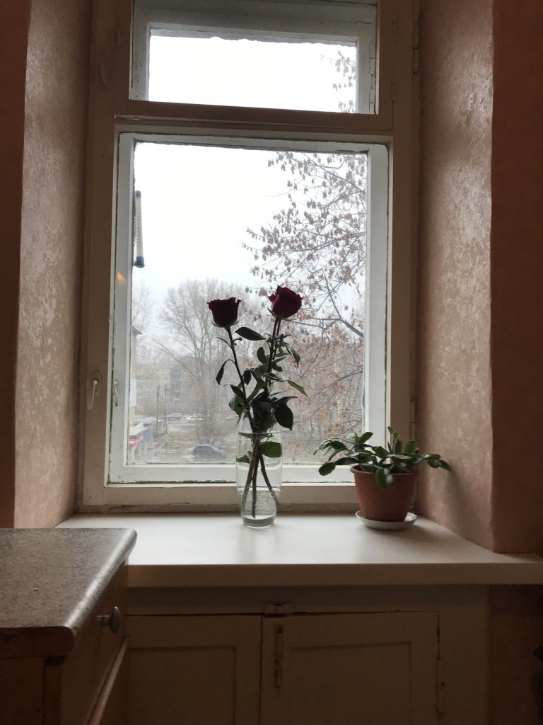 Продажа 1-комнатной квартиры, Нижний Новгород, Дружаева ул,  11