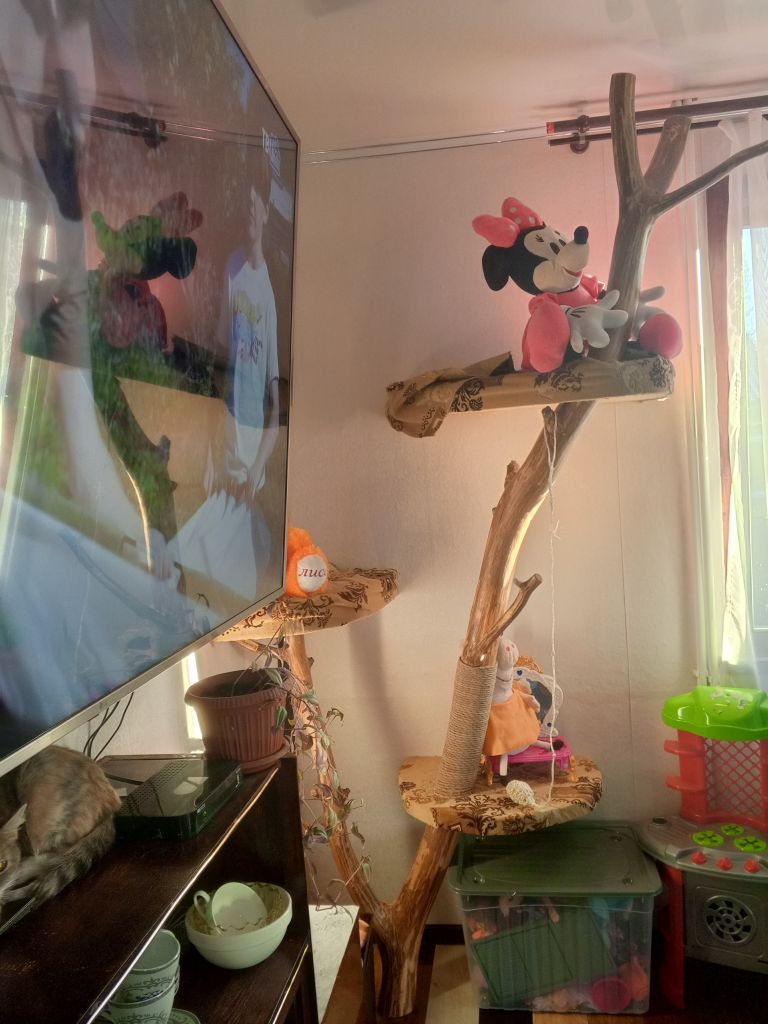 Продажа дома, 124м <sup>2</sup>, 19 сот., Володинская, Центральная,  22