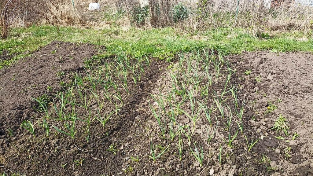 Продажа дачи, 20м <sup>2</sup>, 5 сот., Кострома, Дубки Территория СНТ