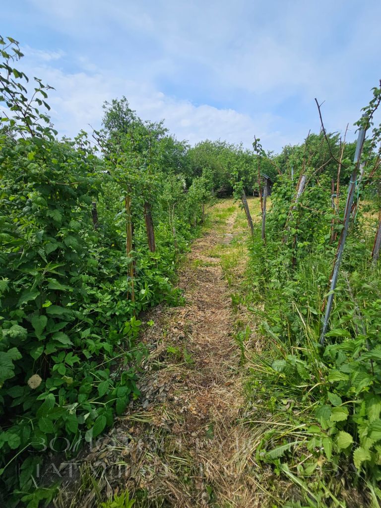 Продажа дома, 81м <sup>2</sup>, 13 сот., Доскино, Центральная,  46