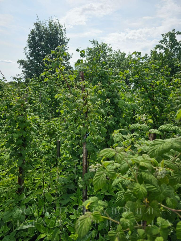 Продажа дома, 81м <sup>2</sup>, 13 сот., Доскино, Центральная,  46