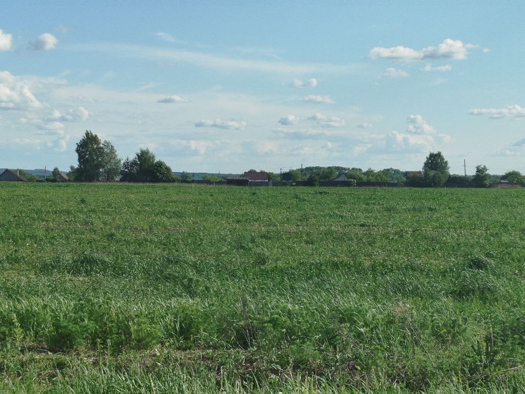 Продажа участка, Некрасово