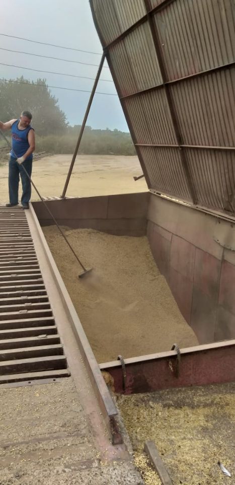 Продажа коммерческой недвижимости, 50000м <sup>2</sup>, Лысково, 1 Мая пер