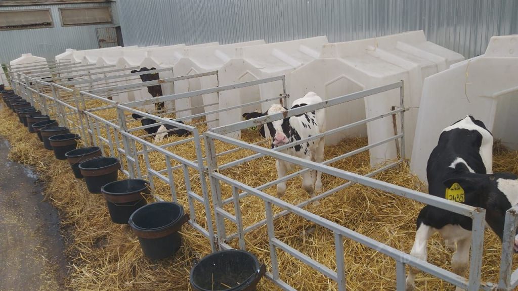 Продажа коммерческой недвижимости, 50000м <sup>2</sup>, Лысково, 1 Мая пер