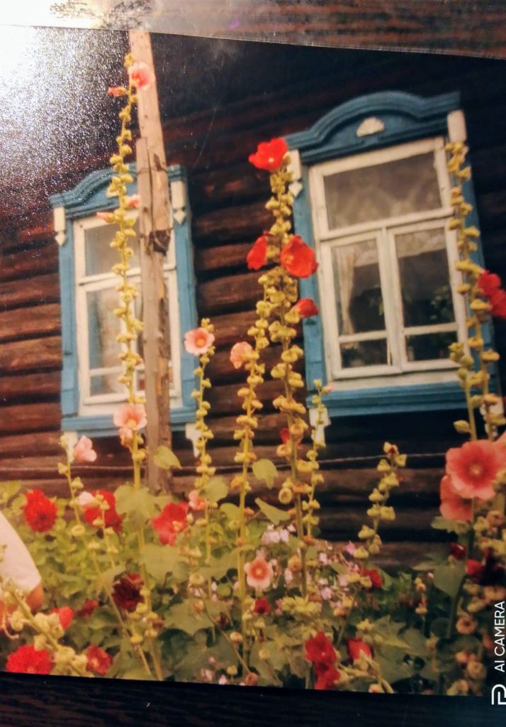 Продажа дома, 45м <sup>2</sup>, 21 сот., Верхник