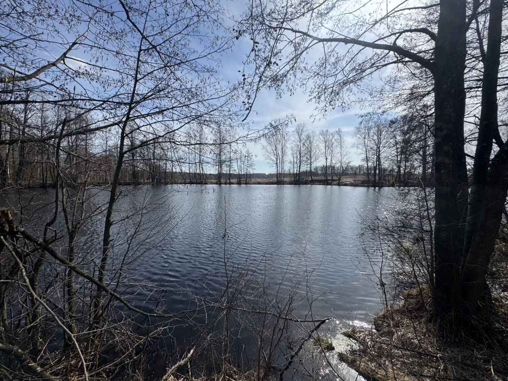 Продажа участка, Савино