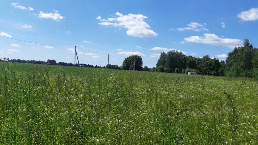 Продажа участка, Голошубиха, Заречная ул 