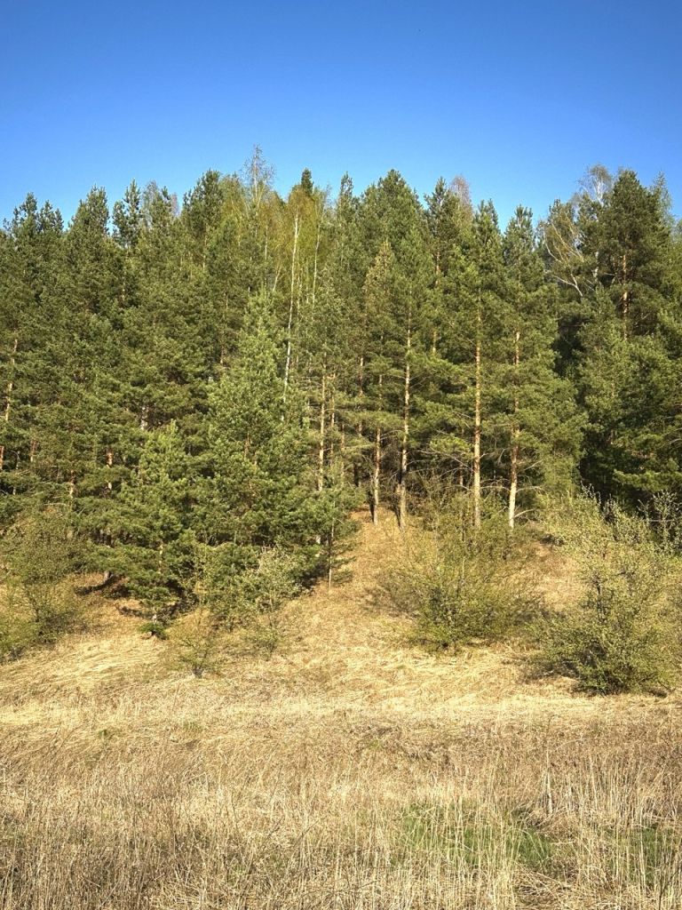 Продажа участка, Шава, Айвазовского ул 