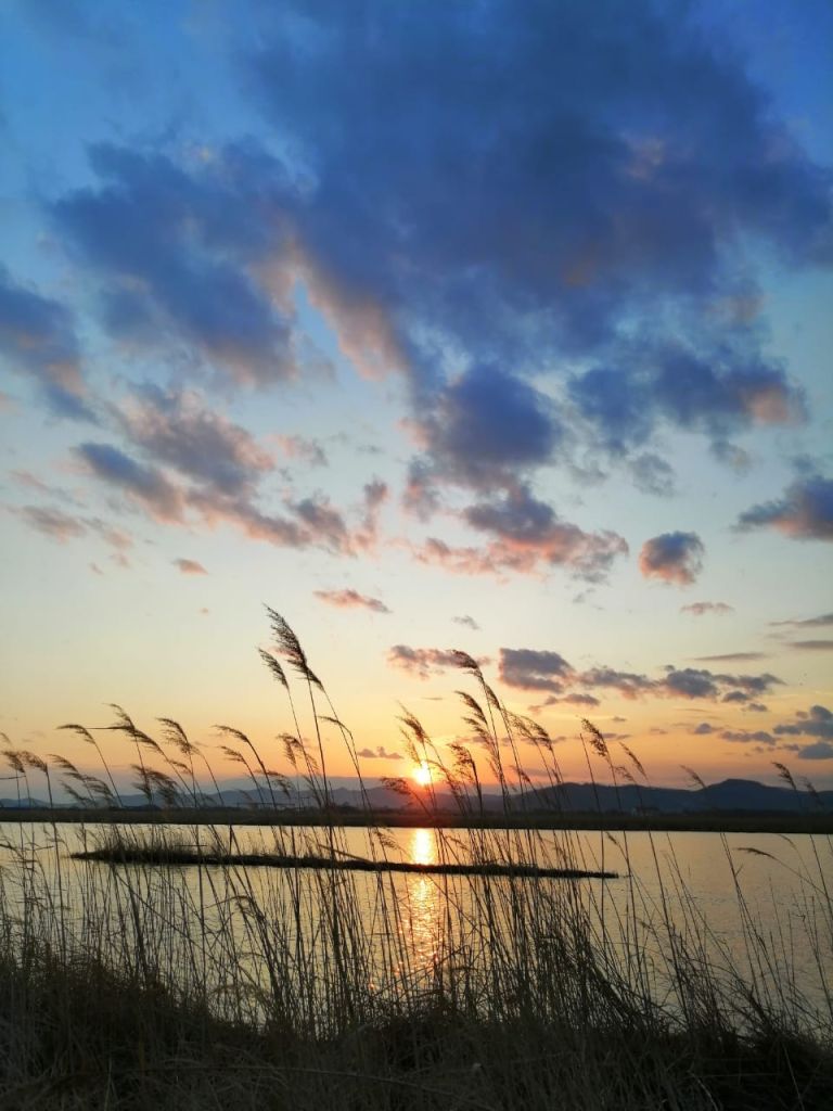 Продажа дома, 107м <sup>2</sup>, 30 сот., Врангель