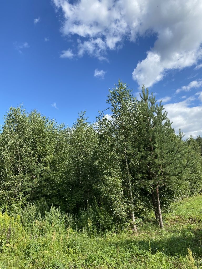 Продажа участка, Дуденево, Яблочная