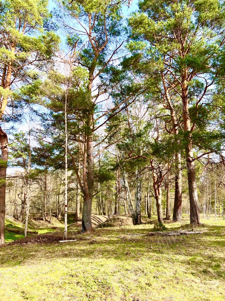 Продажа дома, 220м <sup>2</sup>, 30 сот., Фенино