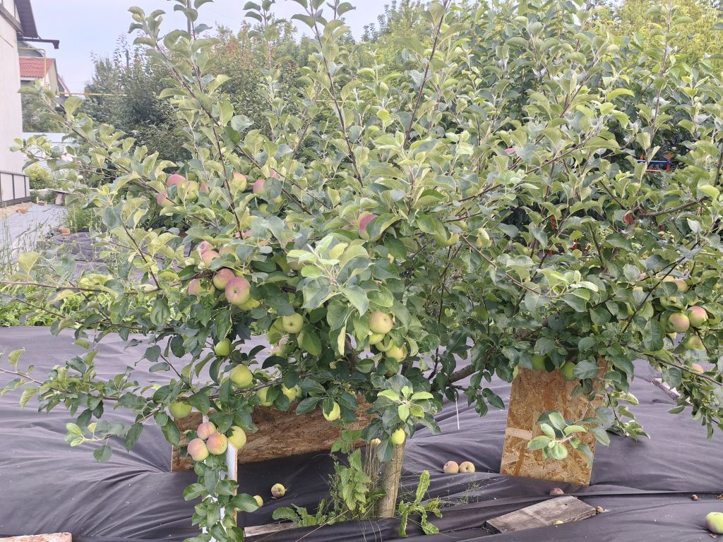 Продажа дома, 115м <sup>2</sup>, 51 сот., Лунино, Заводская,  58А