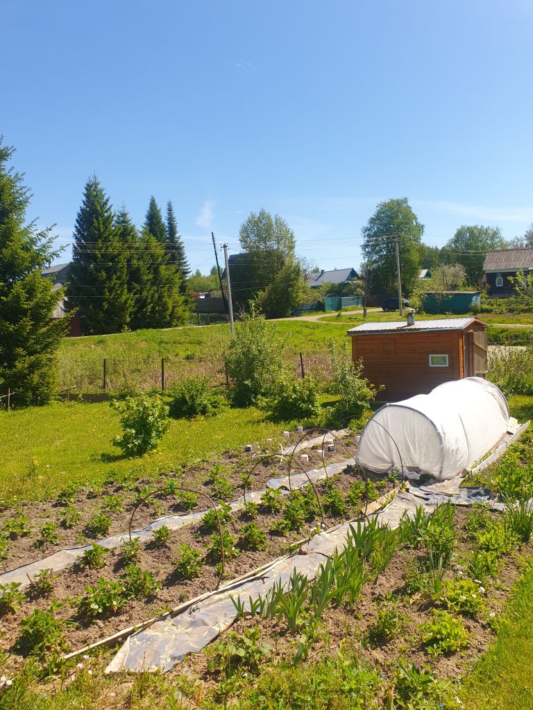 Продажа дома, 82м <sup>2</sup>, 17 сот., Дренево