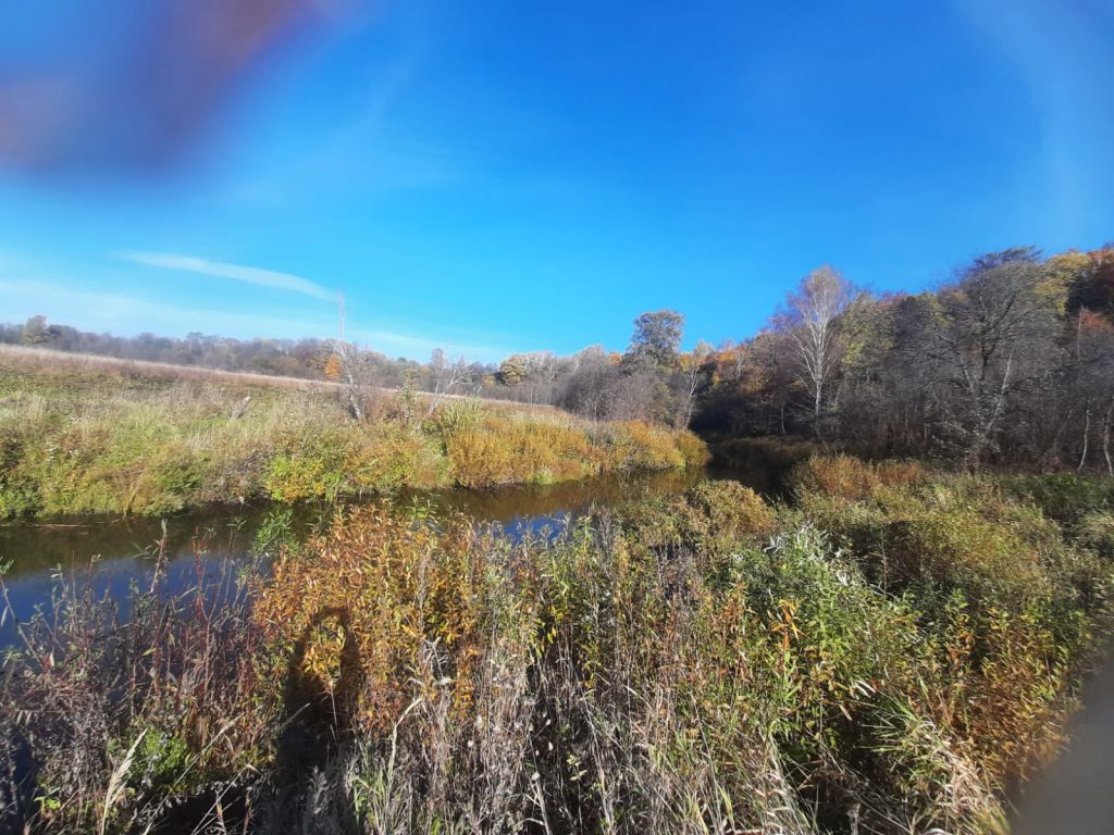 Продажа участка, Шолохово