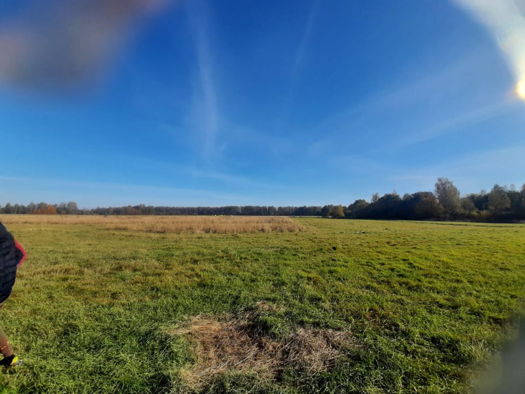 Продажа участка, Шолохово