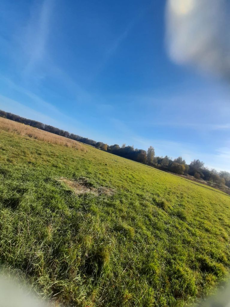 Продажа участка, Шолохово