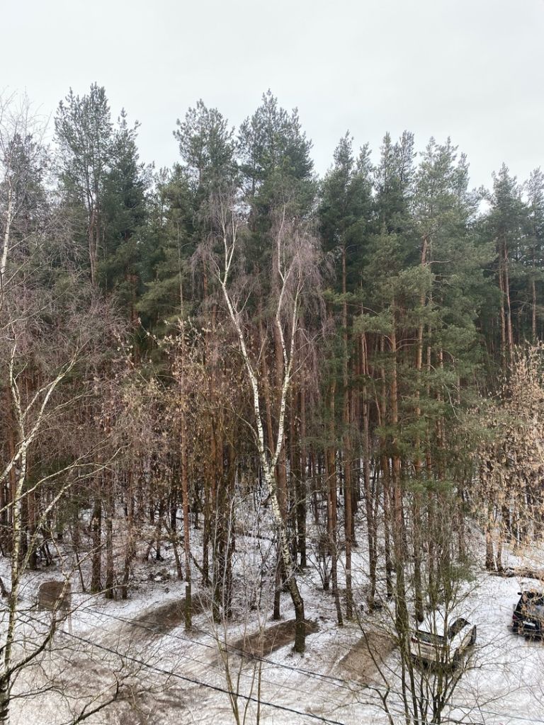 Продажа 3-комнатной квартиры, Кострома, Костромская ул,  80