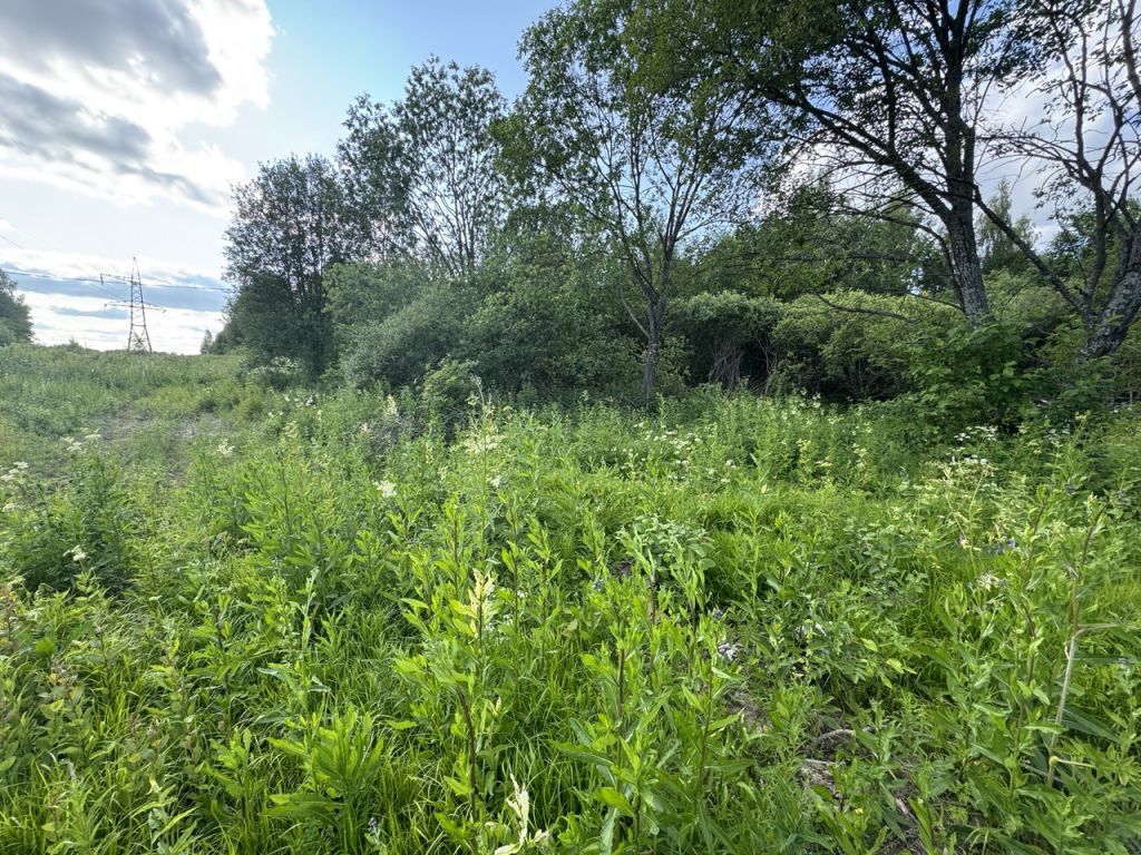 Продажа участка, Коркино