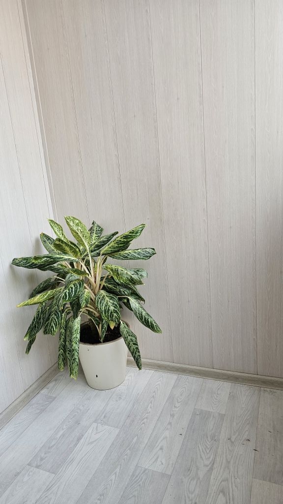 Продажа 4-комнатной квартиры, Нижний Новгород, Челюскинцев ул,  27