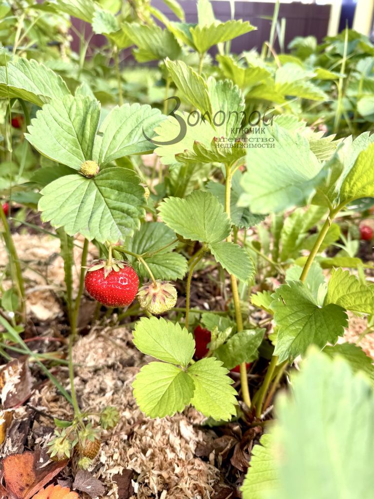 Продажа дома, 155м <sup>2</sup>, 6 сот., Хватково, Молодежная,  7/11