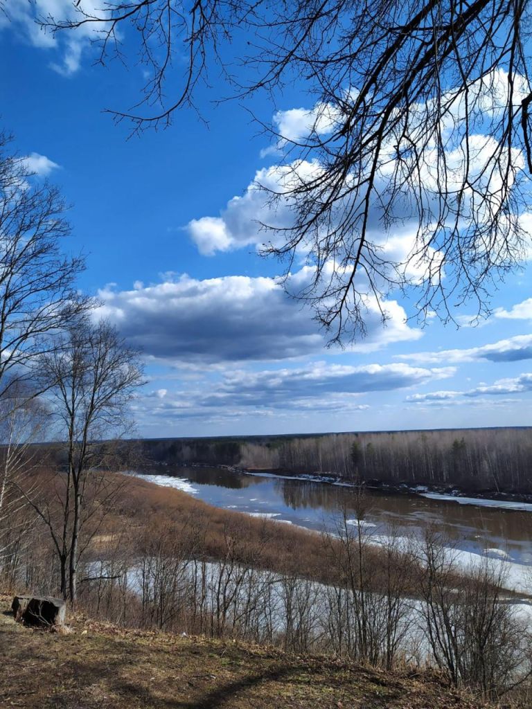 Продажа дома, 38м <sup>2</sup>, 12 сот., Варнавино, ул. Гражданская,  4