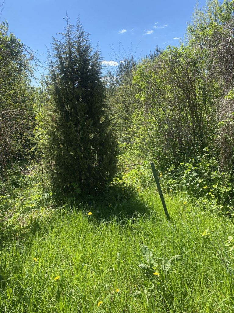 Продажа дома, 60м <sup>2</sup>, 7 сот., Караваево, Набережная ул,  32