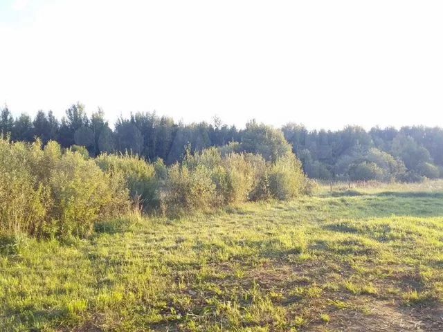 Продажа участка, Ярославль, Зеленая ул