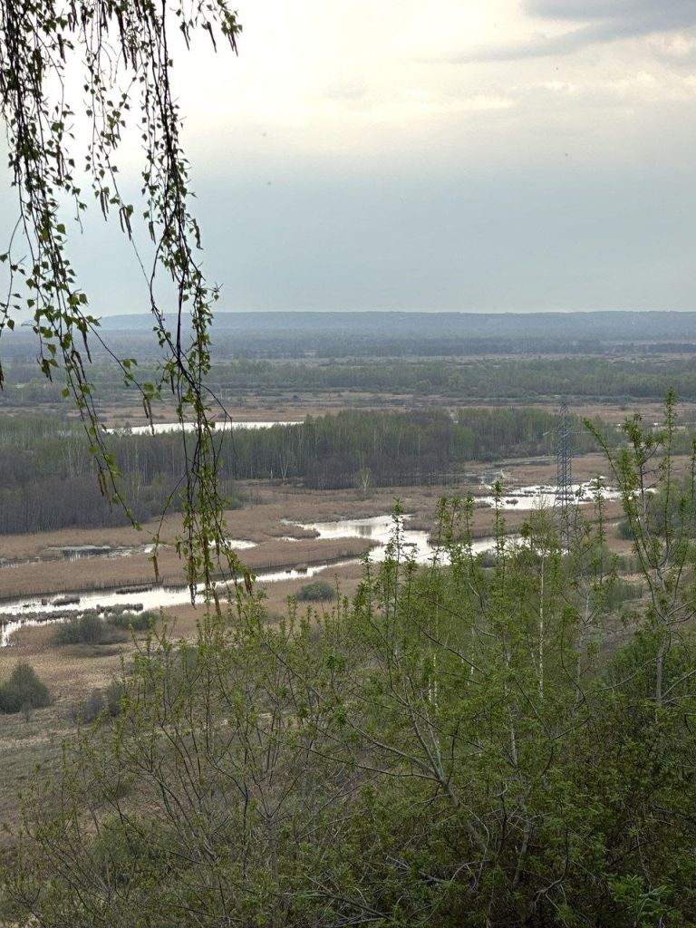 Продажа дома, 130м <sup>2</sup>, 5 сот., Афонино, Магистральная ул,  126